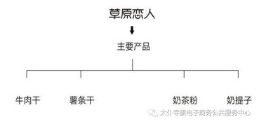 聚力農(nóng)產(chǎn)品上行，太仆寺旗電商銷售品牌策劃服務(wù)全旗 經(jīng)營電子商務(wù)
